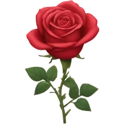 Rose  sticker