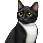 tuxedo cat sticker