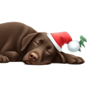 Chocolate Labrador sleeping under Christmas tree sticker