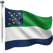 New siyra flag sticker