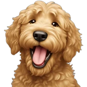 Goldendoodle yawning sticker
