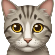 Gatos  sticker