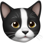 Black and white kitty sticker
