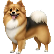 German spitz mittel dog  sticker