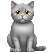 British shorthair sitting sticker