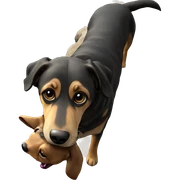 realistic dog in nature sticker