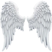 Detailed Angel wings  sticker