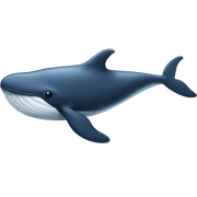 whale sticker