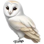 White Barn owl sticker