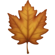 Autumn leaf sticker