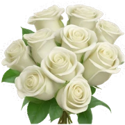 Boquet of white roses sticker