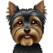 Black yorkshire terrier sticker