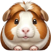 Meerschweinchen  sticker