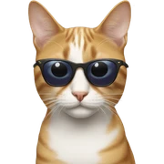 Cat with sunglasses sticker