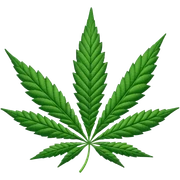 cannabis  sticker