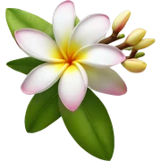 Frangipani sticker