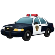 police car sticker