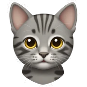 Gray tabby kitten sticker