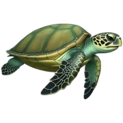Sea turtle sticker
