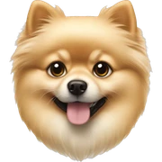 Cream Pomeranian  sticker