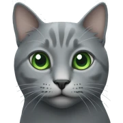Gray cat with green eyes sticker