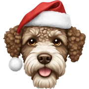 Brown Lagotto dog wearing christmas hat sticker