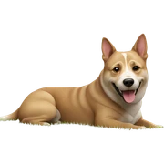 playful dog enjoying outdoor day sticker