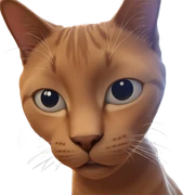 curious cat by the window sticker