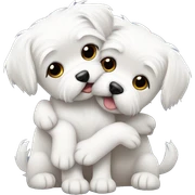 Maltese dogs hugging each other  sticker
