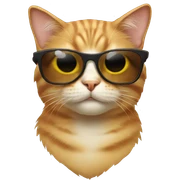 Cat with sunglasses sticker