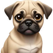 Fawn pug puppy sticker