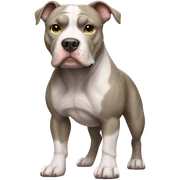 Pitbull  sticker