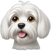 maltese dog sticker