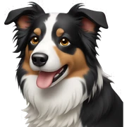 Border collie sticker