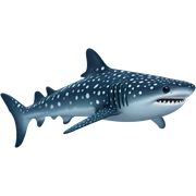 Whale shark sticker