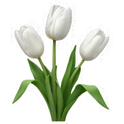 white tulips sticker