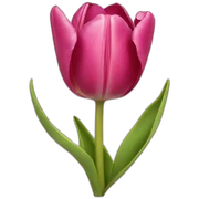 tulip sticker