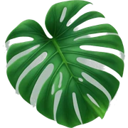 green monstera deliciosa leaf sticker