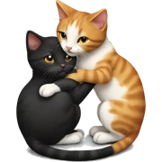 Black and ginger kitty touch each other with nouse  sticker