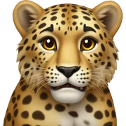 Leopar  sticker