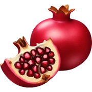 pomegranate  sticker