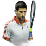 Djokovic sticker