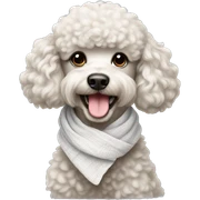 poodle with white scarf sticker