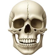 Skull sticker