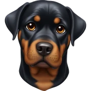 Rottweiler with bow on head sticker
