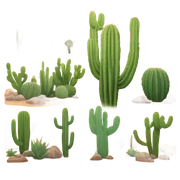 Arizona sticker