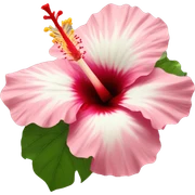 hibiscus sticker