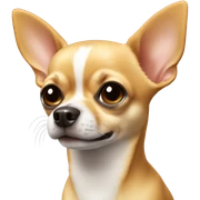 Chihuahua sticker