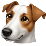Jack russel sticker