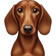 Brown dachshus sticker